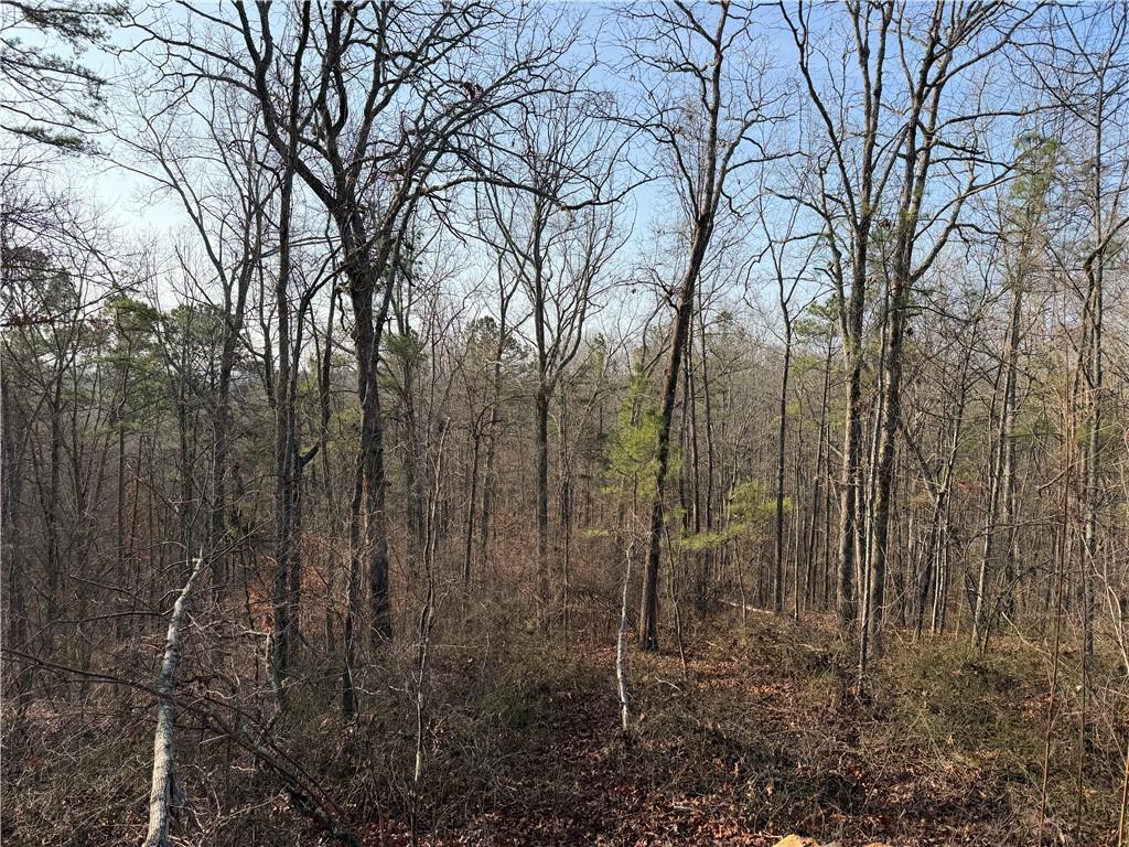 0 Lower Sweetwater Road Canton, GA 30114 - Photo 12 of 29