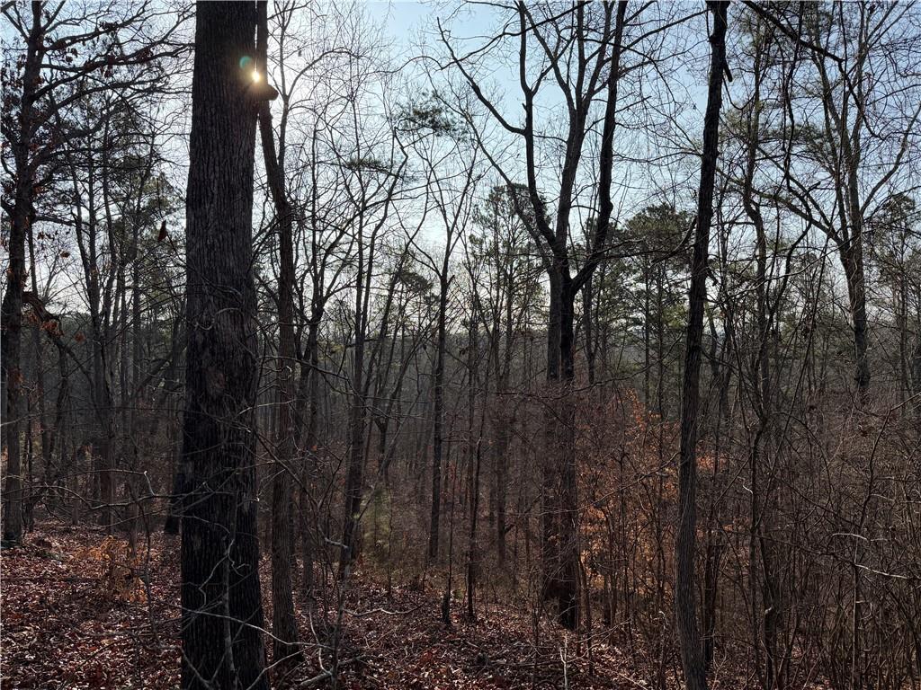 0 Lower Sweetwater Road Canton, GA 30114 - Photo 13 of 29