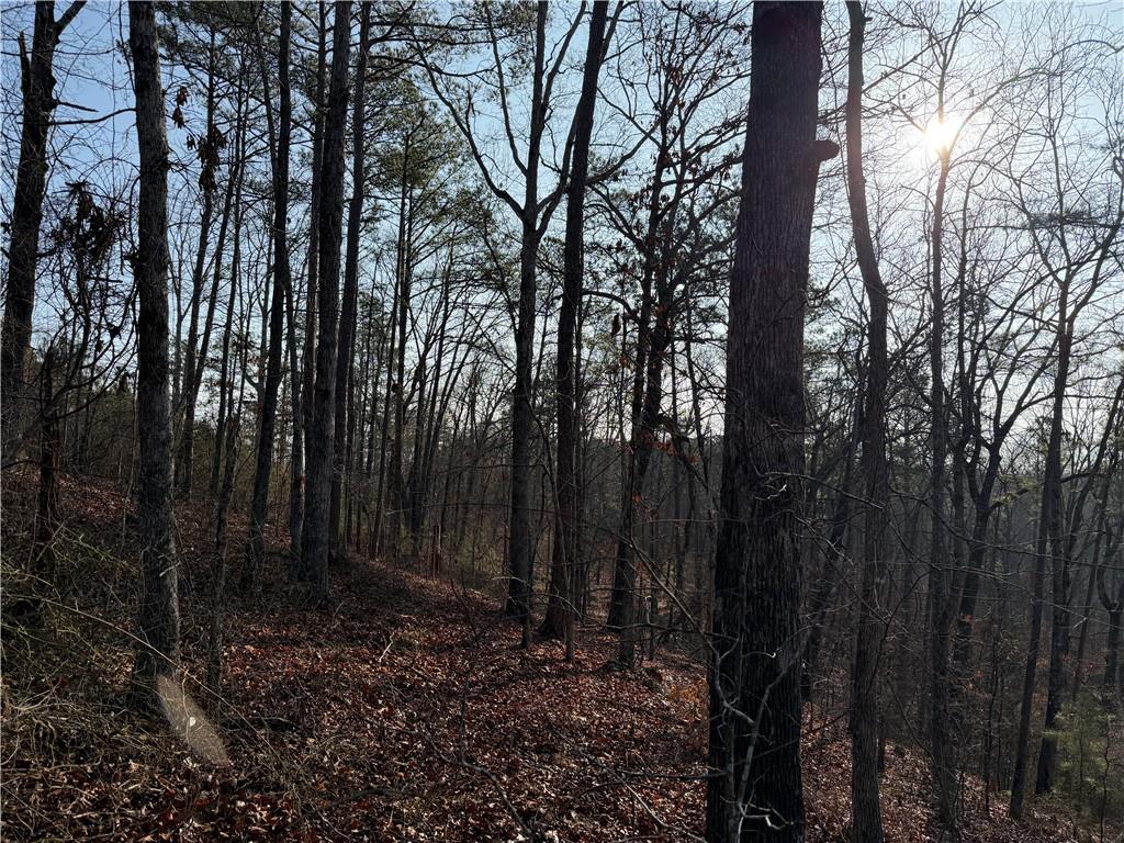 0 Lower Sweetwater Road Canton, GA 30114 - Photo 14 of 29