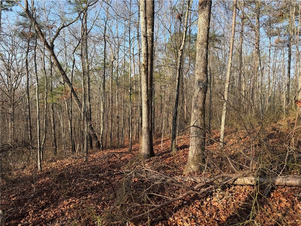 0 Lower Sweetwater Road Canton, GA 30114 - Photo 15 of 29