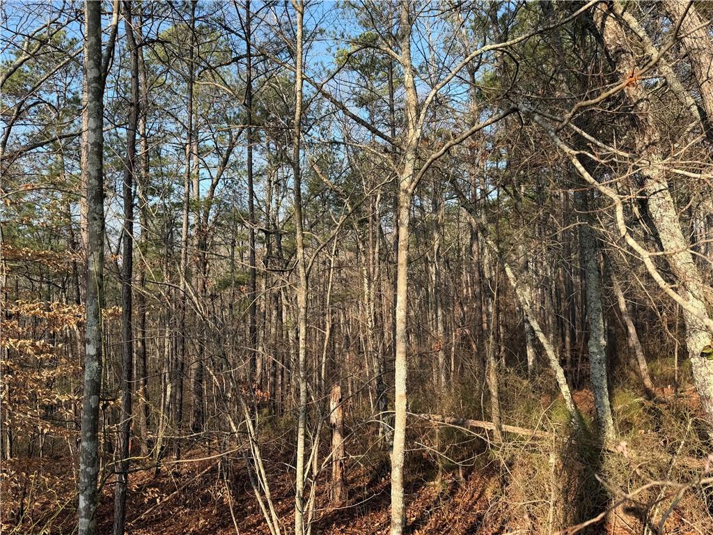 0 Lower Sweetwater Road Canton, GA 30114 - Photo 16 of 29