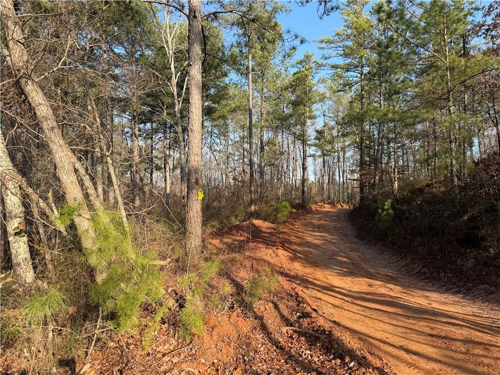 0 Lower Sweetwater Road Canton, GA 30114 - Photo 17 of 29