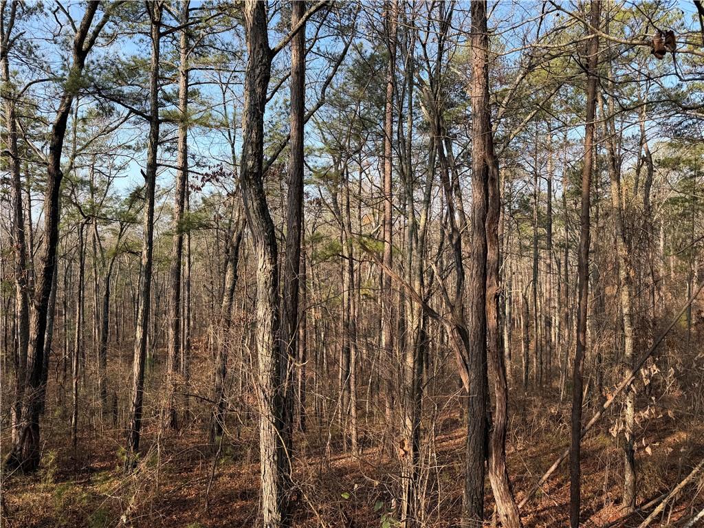 0 Lower Sweetwater Road Canton, GA 30114 - Photo 18 of 29