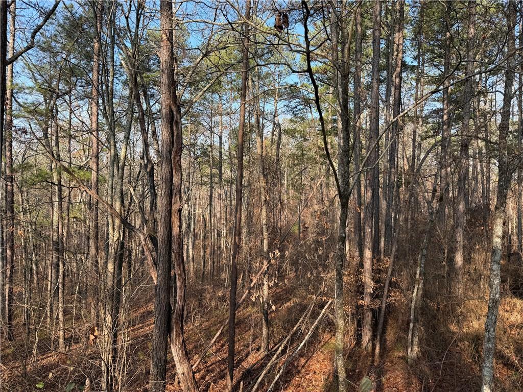 0 Lower Sweetwater Road Canton, GA 30114 - Photo 19 of 29