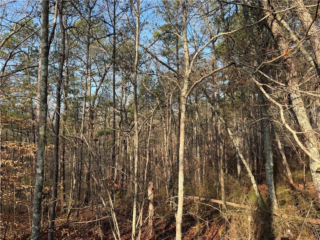 0 Lower Sweetwater Road Canton, GA 30114 - Photo 2 of 29