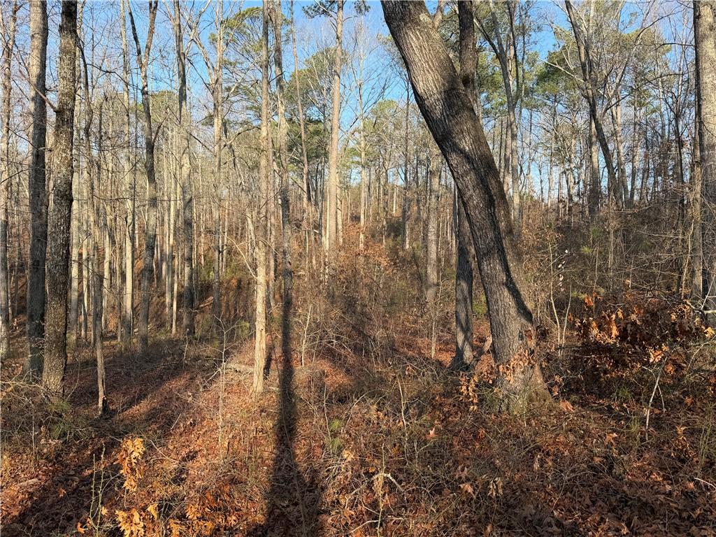 0 Lower Sweetwater Road Canton, GA 30114 - Photo 21 of 29