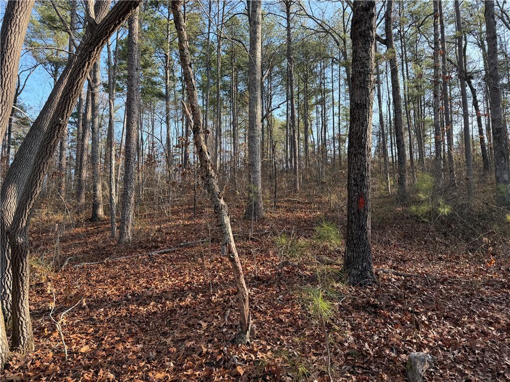 0 Lower Sweetwater Road Canton, GA 30114 - Photo 22 of 29