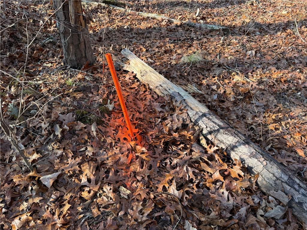 0 Lower Sweetwater Road Canton, GA 30114 - Photo 24 of 29