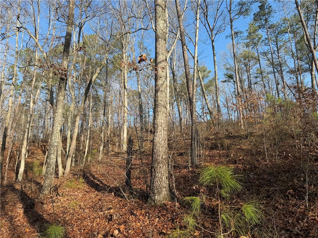 0 Lower Sweetwater Road Canton, GA 30114 - Photo 25 of 29