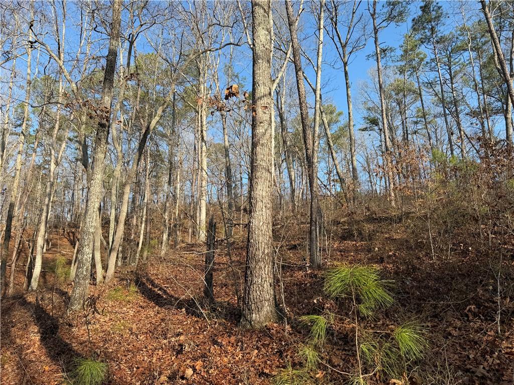 0 Lower Sweetwater Road Canton, GA 30114 - Photo 26 of 29