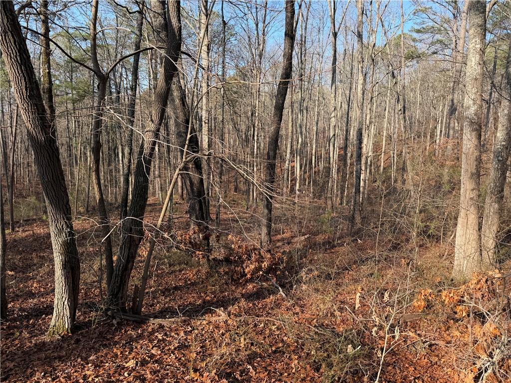 0 Lower Sweetwater Road Canton, GA 30114 - Photo 27 of 29