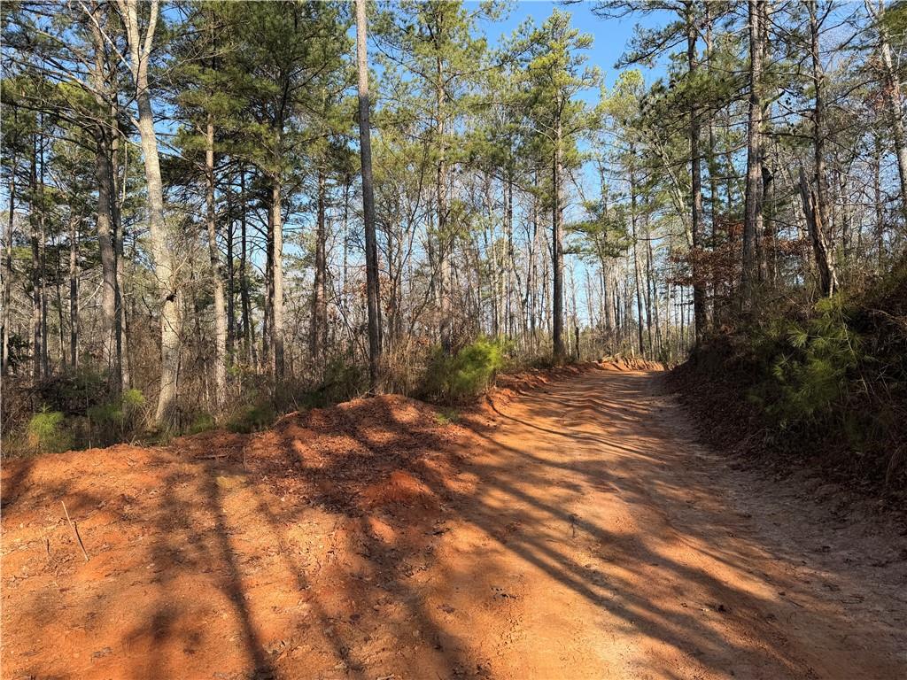 0 Lower Sweetwater Road Canton, GA 30114 - Photo 28 of 29