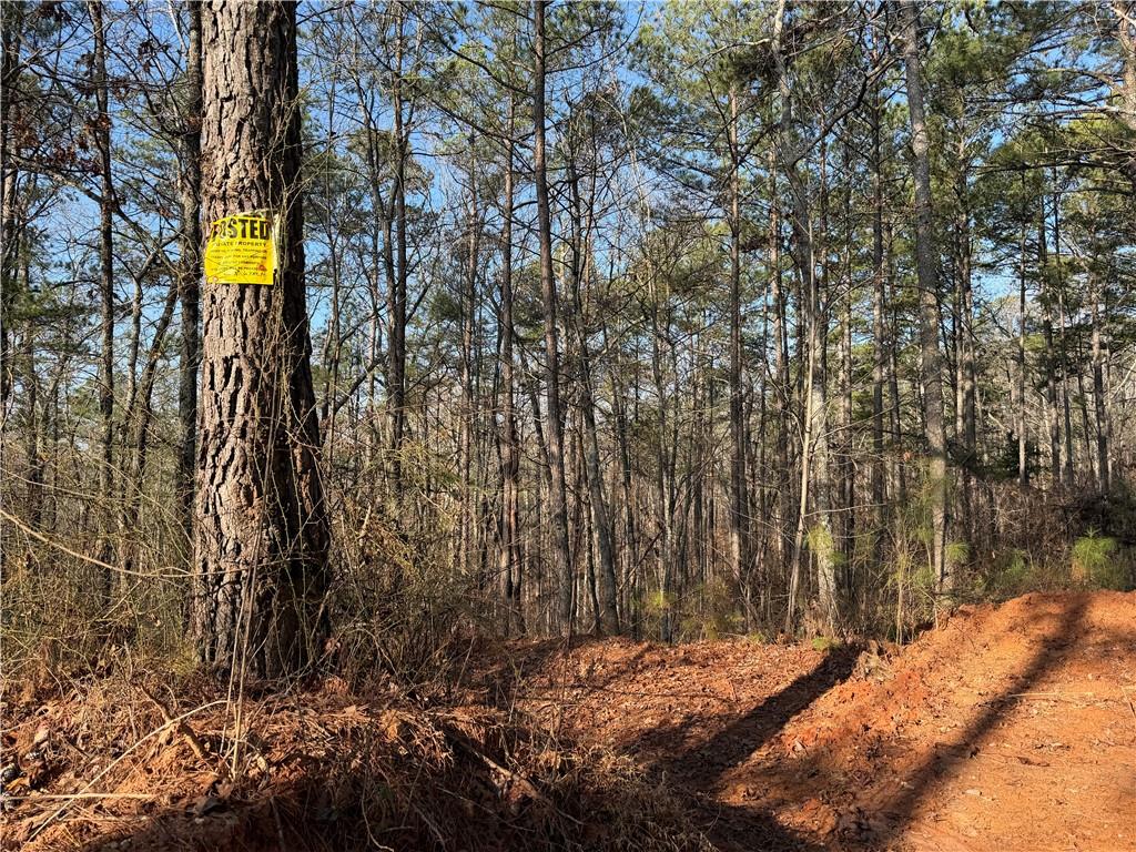 0 Lower Sweetwater Road Canton, GA 30114 - Photo 29 of 29