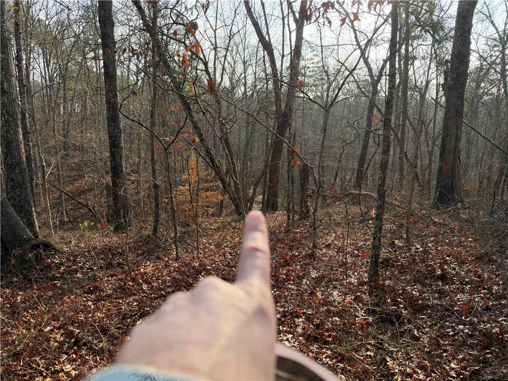 0 Lower Sweetwater Road Canton, GA 30114 - Photo 4 of 29