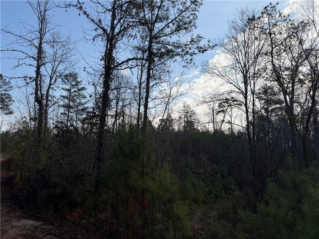 0 Lower Sweetwater Road Canton, GA 30114 - Photo 5 of 29