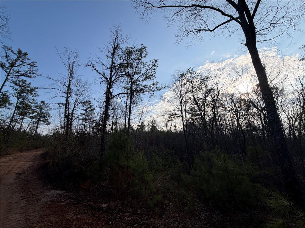 0 Lower Sweetwater Road Canton, GA 30114 - Photo 6 of 29