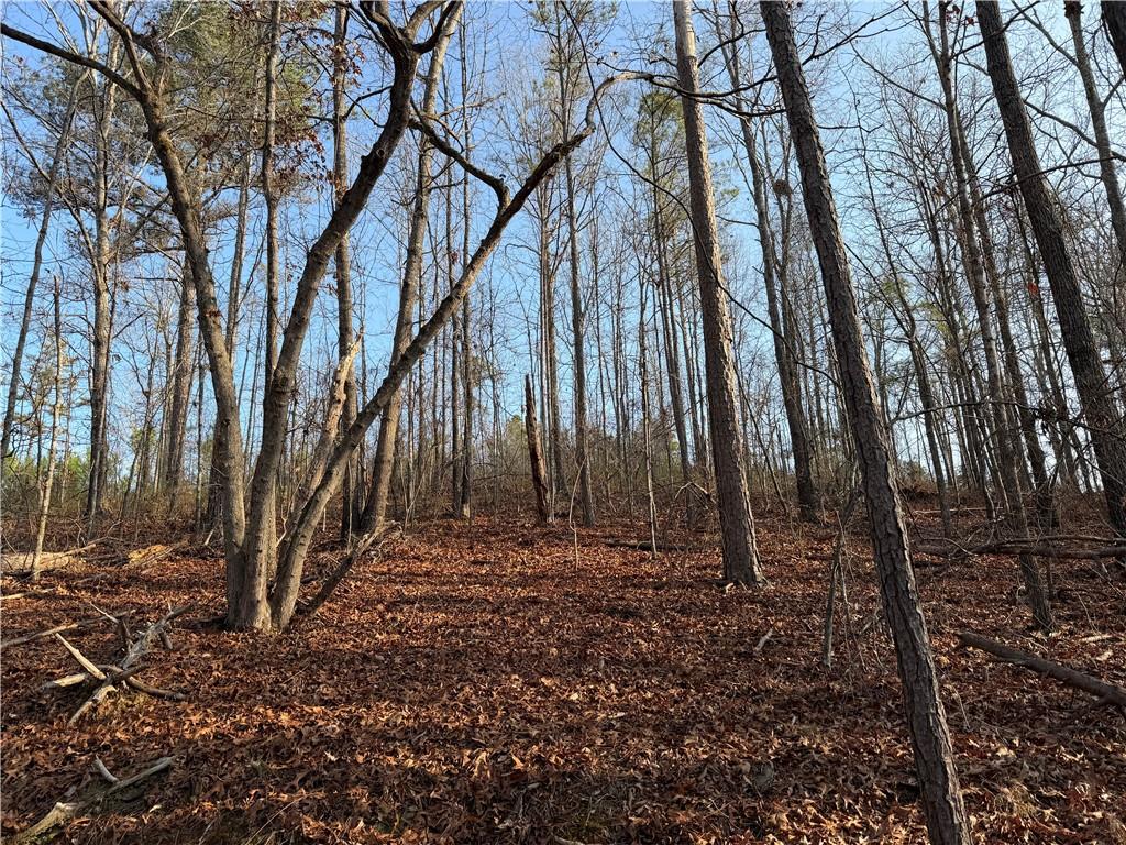 0 Lower Sweetwater Road Canton, GA 30114 - Photo 7 of 29