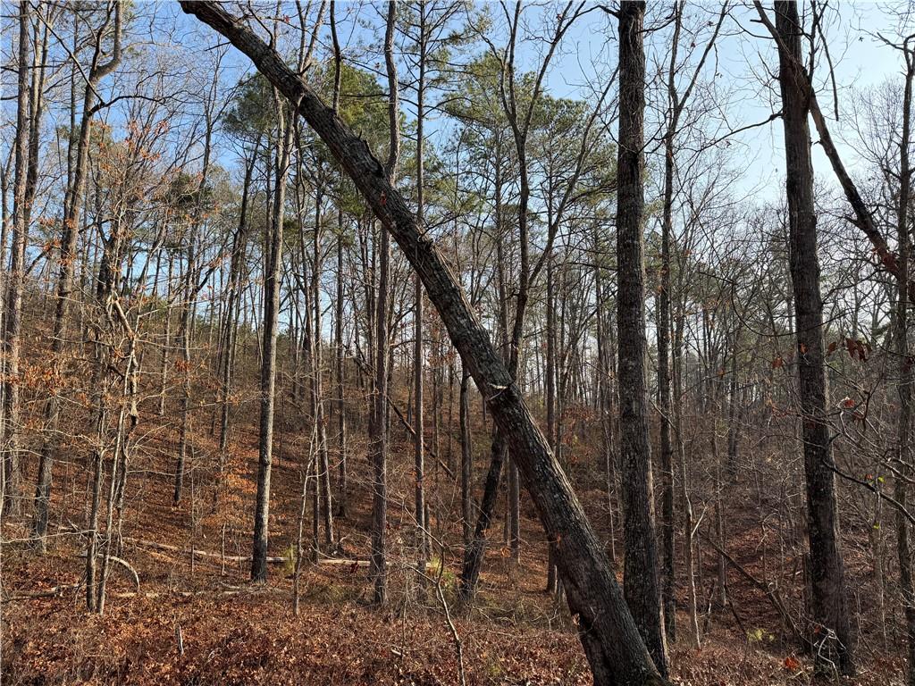 0 Lower Sweetwater Road Canton, GA 30114 - Photo 9 of 29