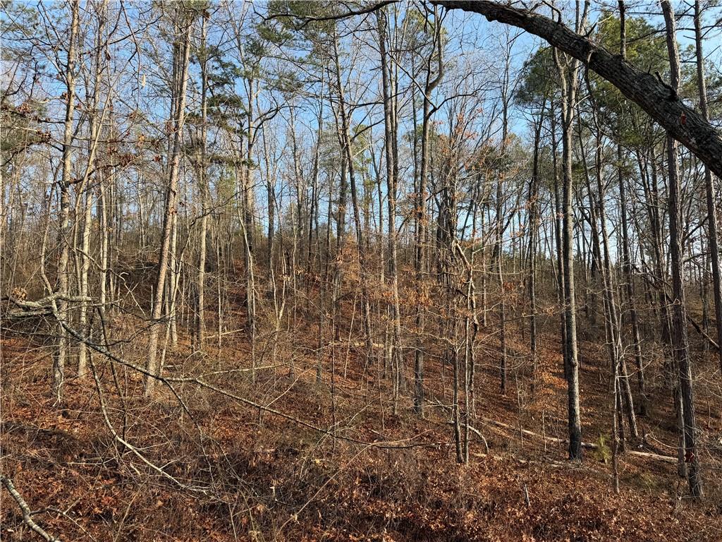 0 Lower Sweetwater Road Canton, GA 30114 - Photo 10 of 29