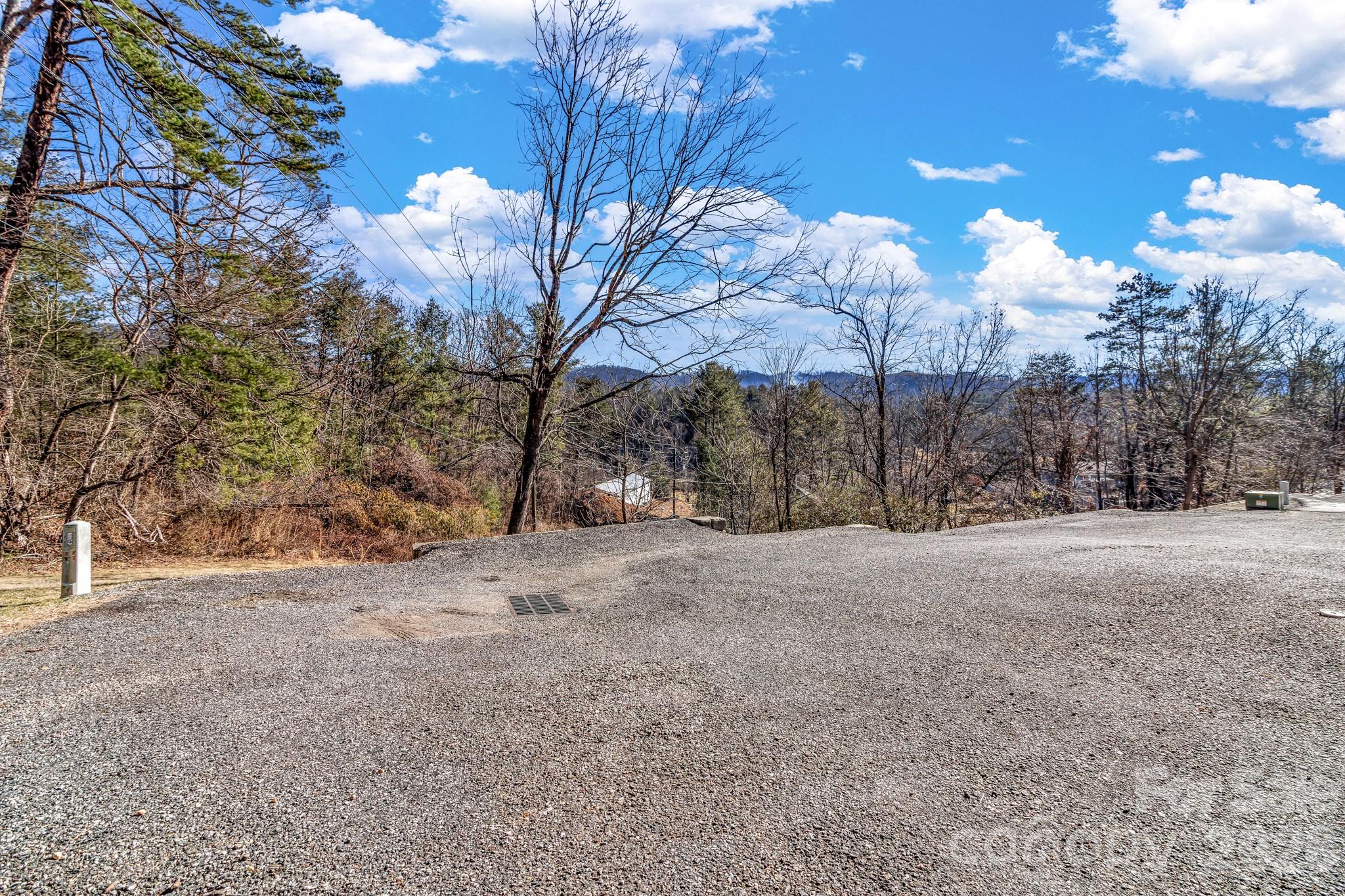 25 Union Chapel Road Weaverville, NC 28787 - Photo 37 of 43 a view of a yard with trees