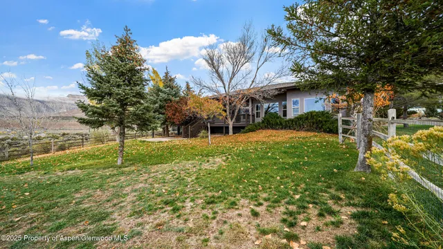 a view of yard with tree s
