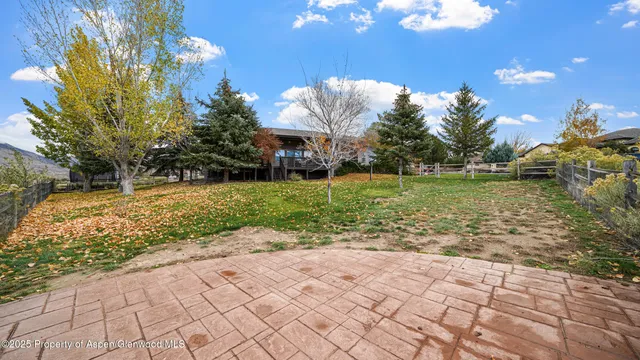 a view of a garden with a large tree
