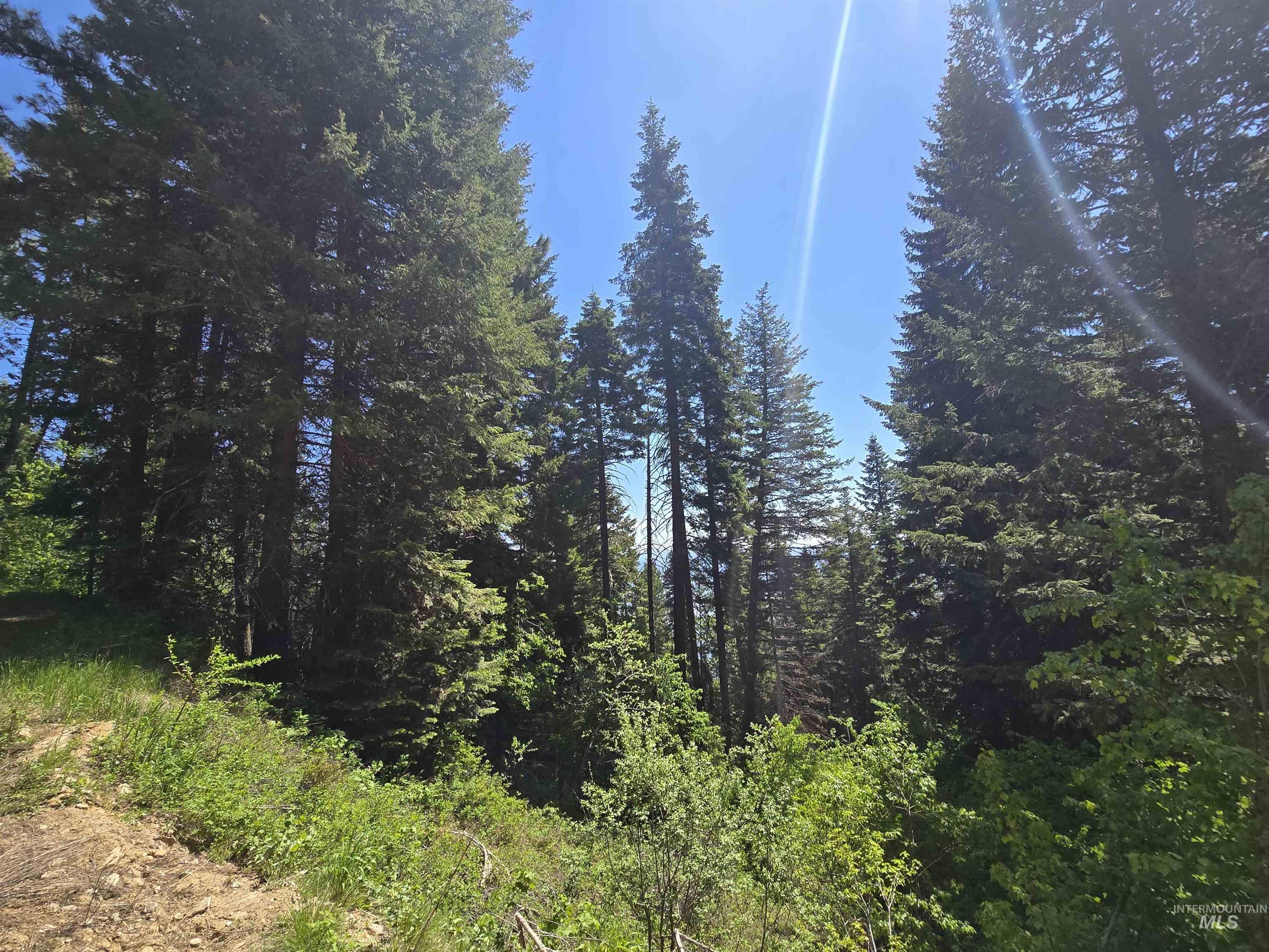 74 Burnt Wagon Trail Cascade, ID 83611 - Photo 4 of 5
