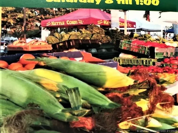 a picture of houses with outdoor space