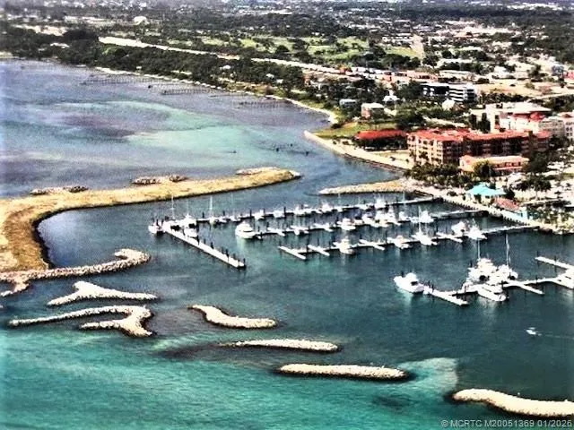 a view of a garden with large trees