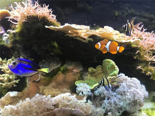 $2,200 | 4210 Gator Trace Avenue, Unit B, Fort Pierce, FL 34982