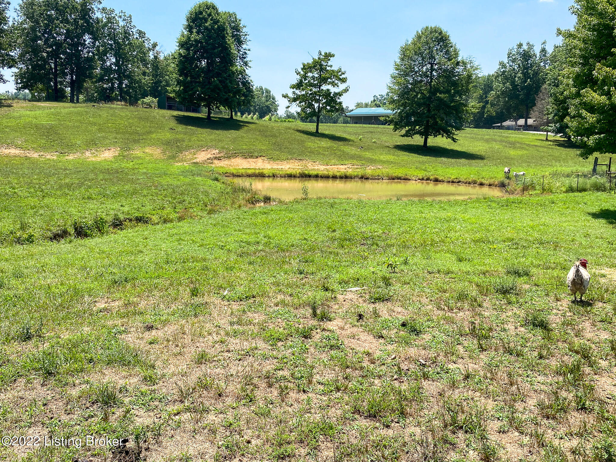 935 Frontage Road Leitchfield, KY 42754 - Photo 55 of 96 View of pond