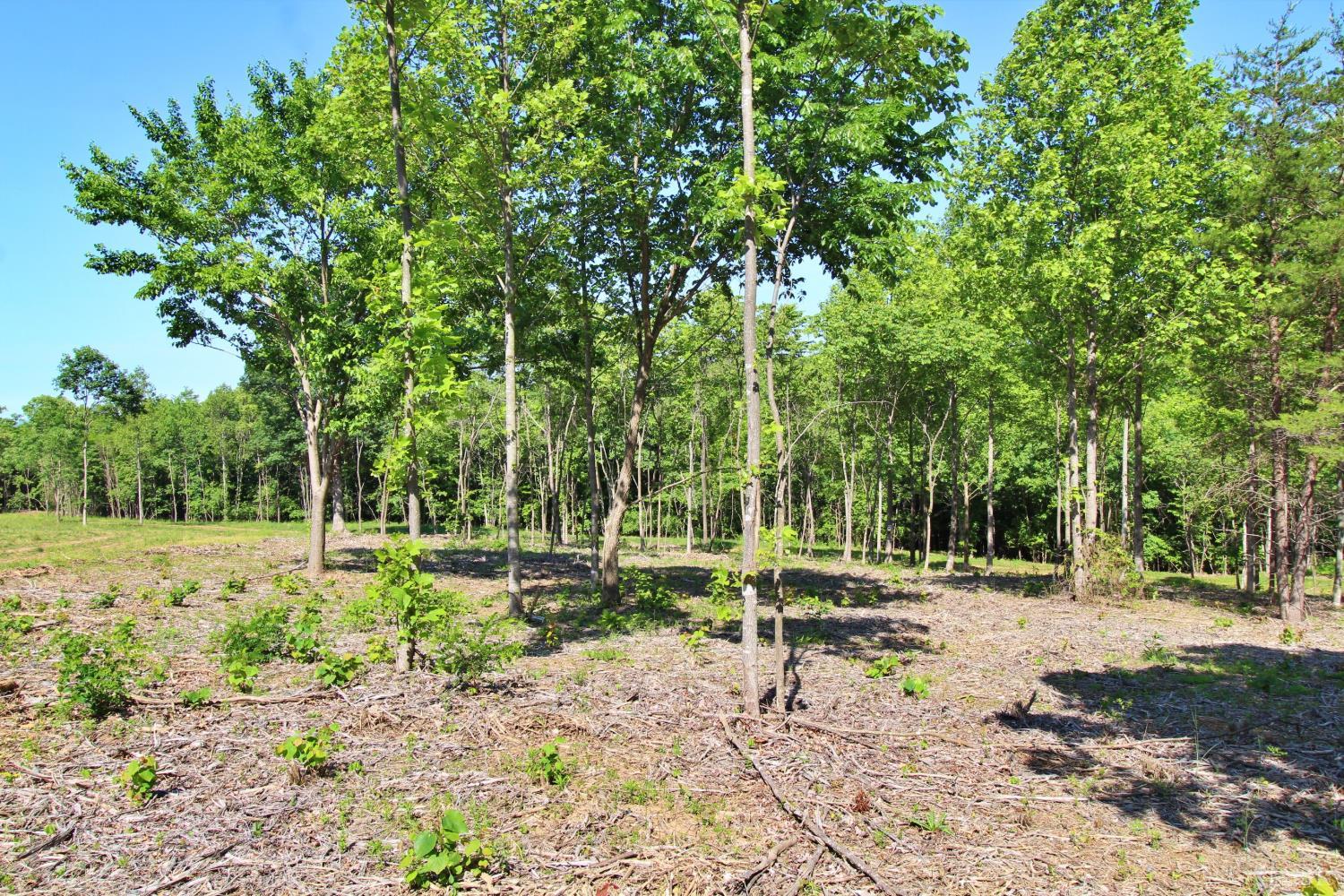 0 Tower Hill Road Appomattox, VA 24522 - Photo 6 of 11