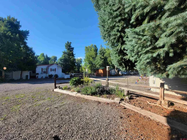 a view of a yard with plants and trees