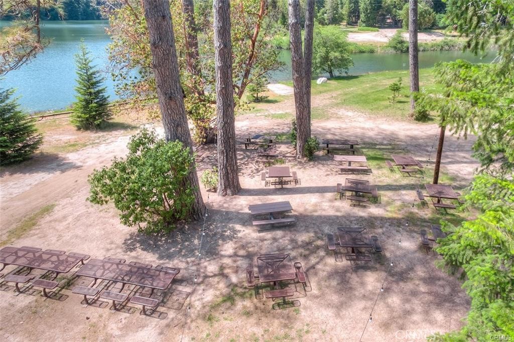 0 Pavlik Pines Road Berry Creek, CA 95916 - Photo 13 of 26 a view of a yard with plants and lake view