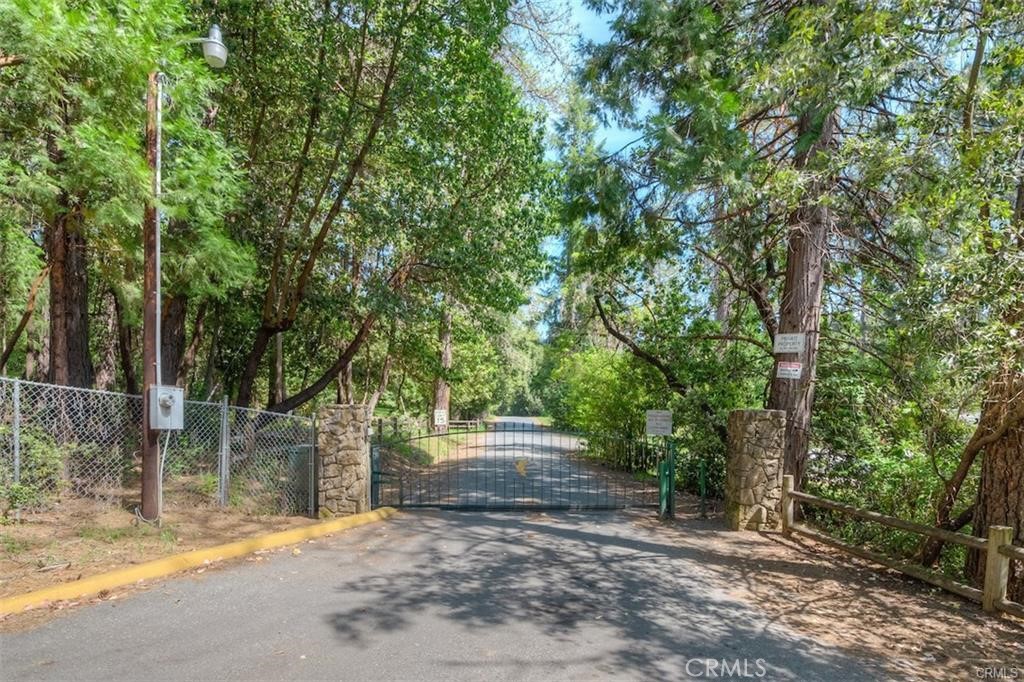 0 Pavlik Pines Road Berry Creek, CA 95916 - Photo 17 of 26 a view of backyard with green space