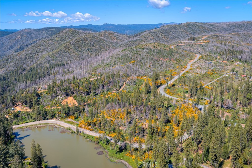 0 Pavlik Pines Road Berry Creek, CA 95916 - Photo 2 of 26