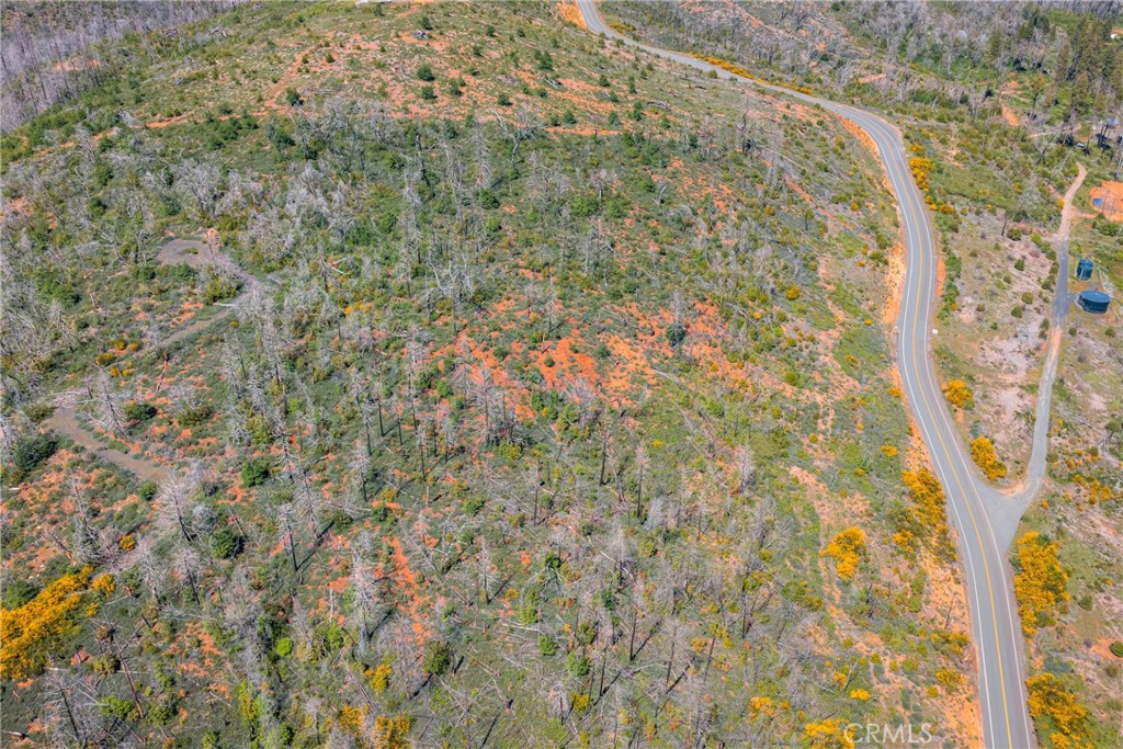 0 Pavlik Pines Road Berry Creek, CA 95916 - Photo 8 of 26 a close up of a wall with a shower