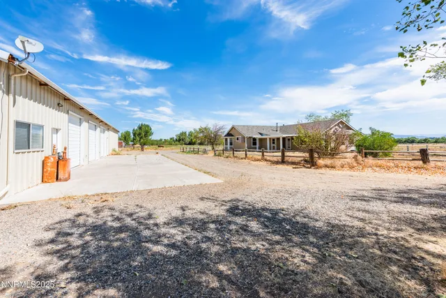 a city view with large trees