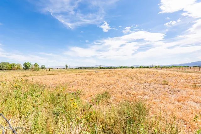 $799,999 | 81 Lower Colony Road, Smith Valley, NV 89444