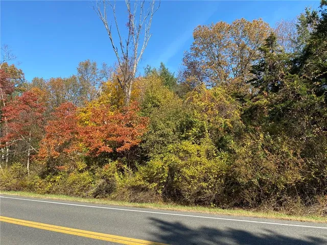 a view of a yard from a window