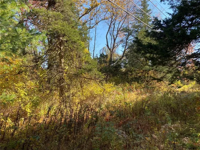 a view of a yard with a tree