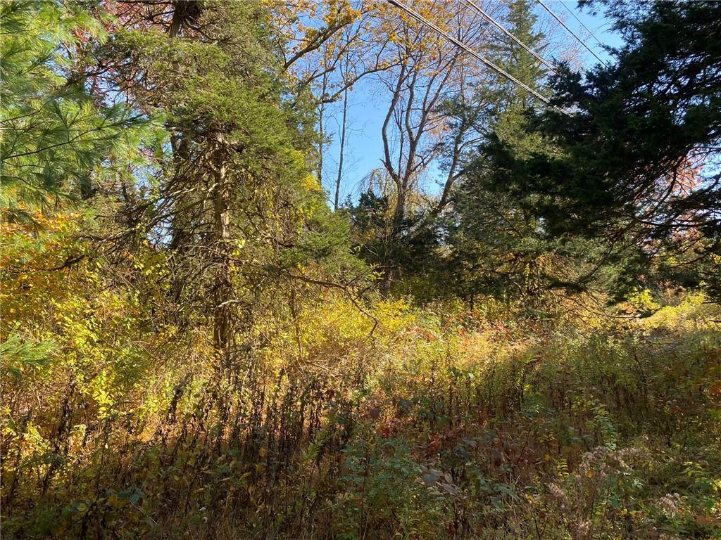 Beaver Road Red Hook, NY 12571 - Photo 4 of 5 a view of a yard with a tree