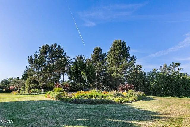 a view of a patio with table and chairs and potted plants