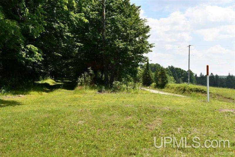 Lot#25 Fordville Road Foster City, MI 49834 - Photo 24 of 27