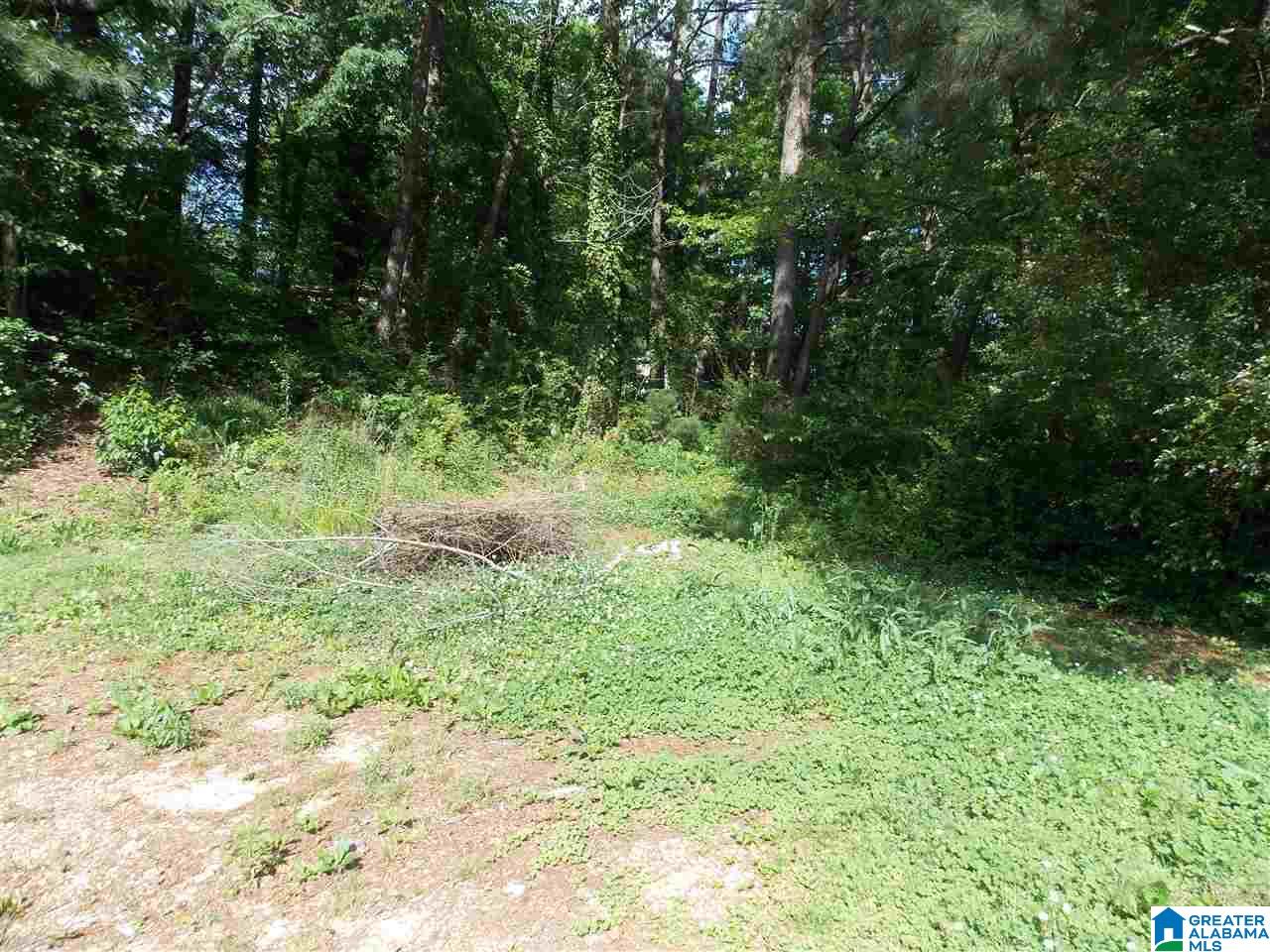 4629 Saks Road Anniston, AL 36206 - Photo 17 of 18