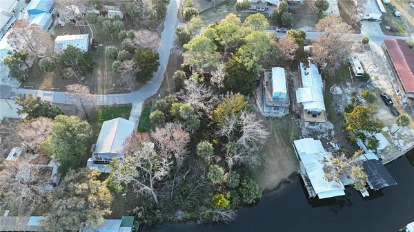 a picture of flowers