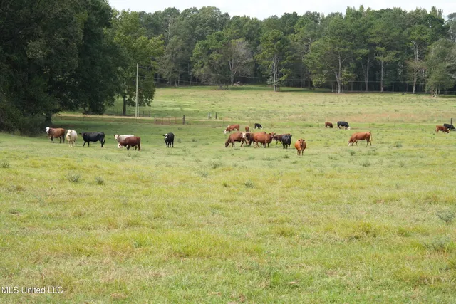 $527,650 | 1074 Midway Odom Road, Forest, MS 39074