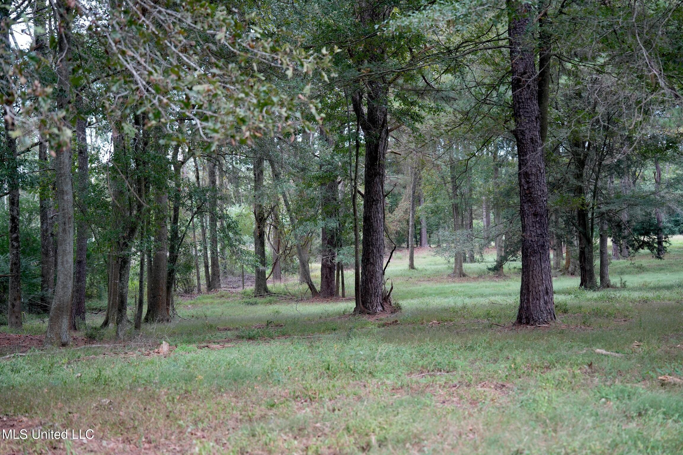 1074 Midway Odom Road Forest, MS 39074 - Photo 28 of 37 7965F32F-A3D9-466D-A861-F2411433BDB4
