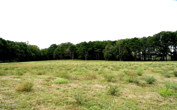 $527,650 | 1074 Midway Odom Road, Forest, MS 39074