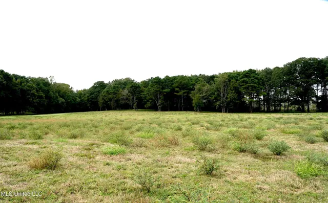 $527,650 | 1074 Midway Odom Road, Forest, MS 39074